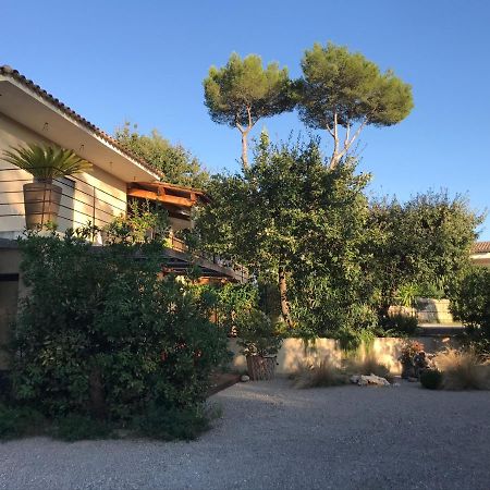 Villa L'Ensoleillee Roquefort-les-Pins Εξωτερικό φωτογραφία